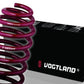 VOGTLAND Lowering Springs for 2002-2008 Audi A4 8E 6 Cylinder Sedan Quattro