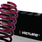 VOGTLAND Lowering Springs 89-98 Ford Thunderbird / 89-97 Cougar 1" DROP 953059
