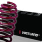 VOGTLAND GERMAN LOWERING SPRINGS 2013-2016 DODGE DART 950324